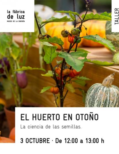 Taller El Huerto en Otoño en el Museo de la Energía