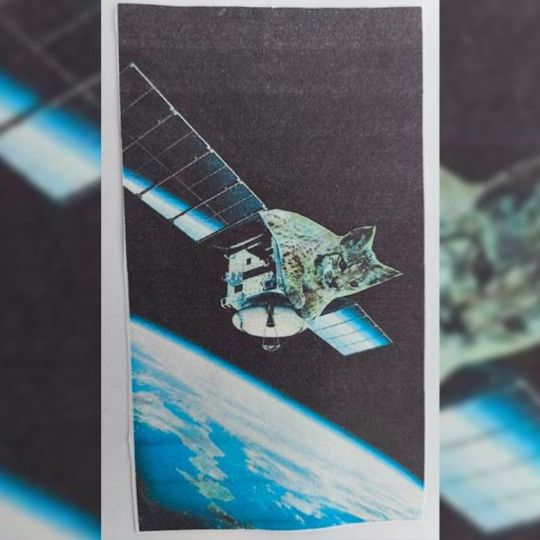 Satélite Lince Satélite Lince