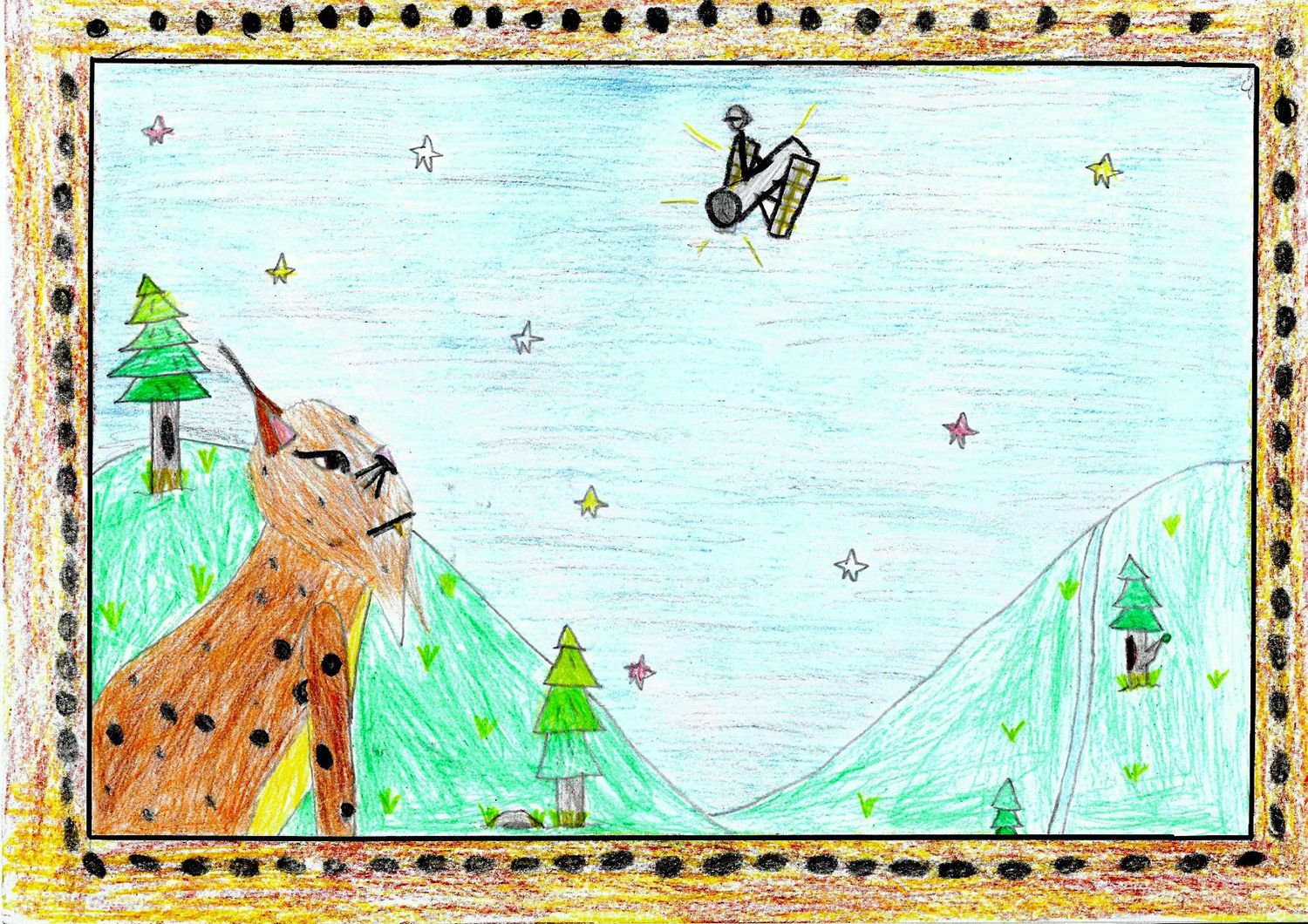 Satélite Lince Satélite Lince