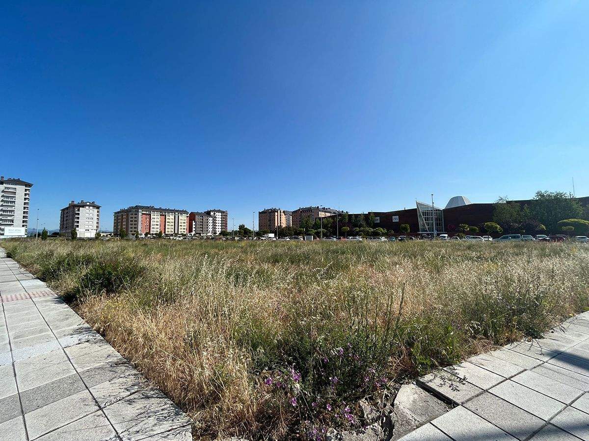 El alcalde de Ponferrada publica un bando para pedir el desbroce y limpieza de fincas para evitar incendios