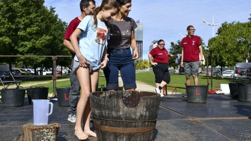 Concurso de pisada de uva del Ponfevin en La Rosaleda (5)