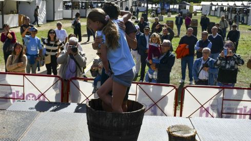 Concurso de pisada de uva del Ponfevin en La Rosaleda (10)