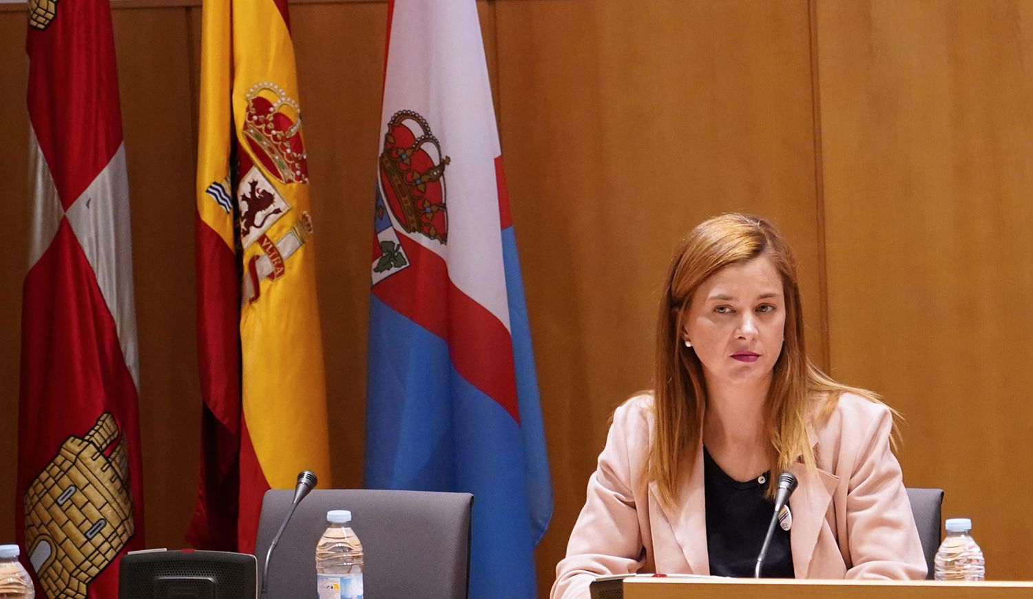 César Sánchez / ICAL. La secretaria federal de enseñanza de UGT, Beatriz García, durante las jornadas formativas sobre negociación colectiva en el sector que se celebran en Ponferrada