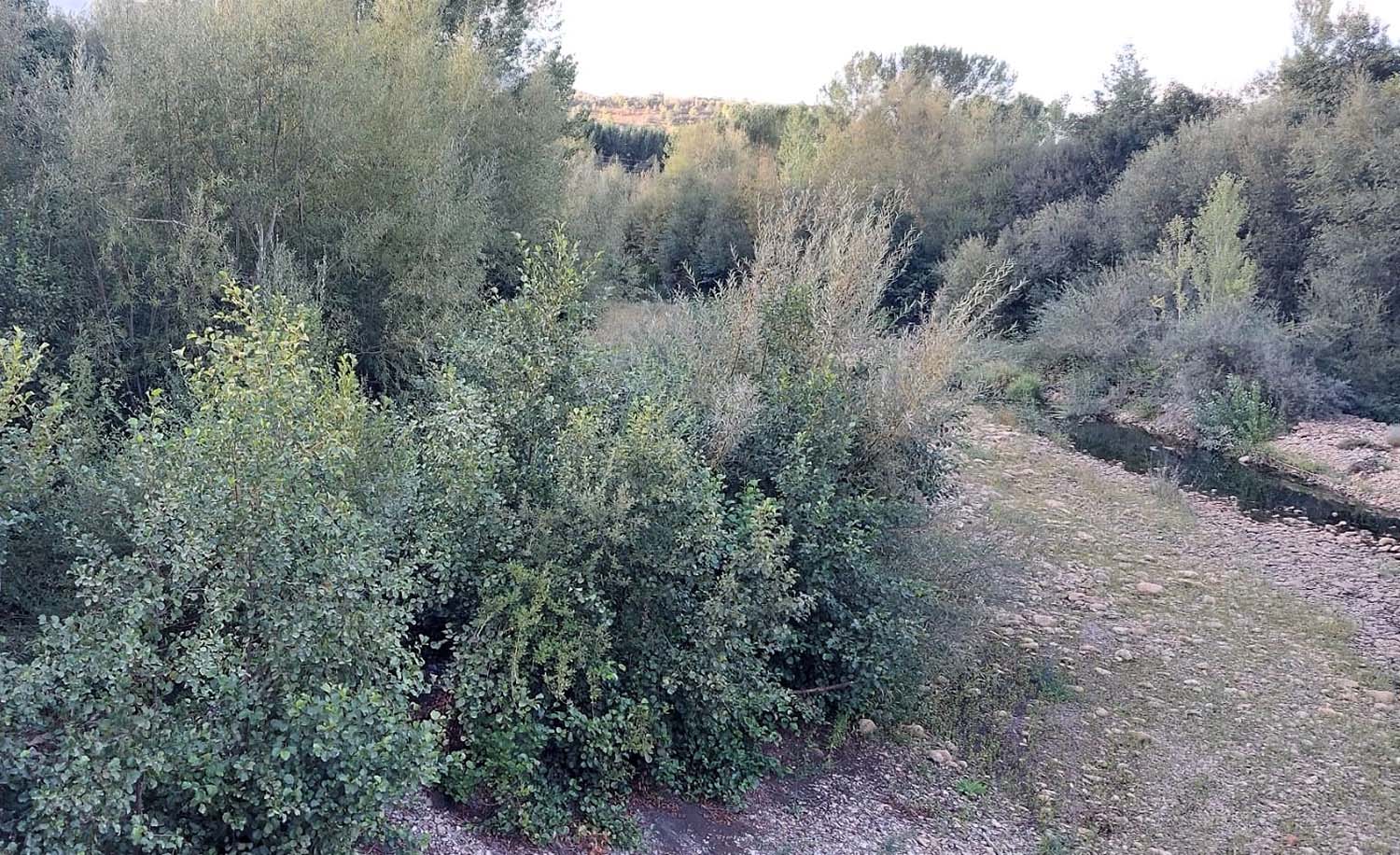 Tramo del Boeza a su paso por Villaverde de los Cestos Tramo del Boeza a su paso por Villaverde de los Cestos