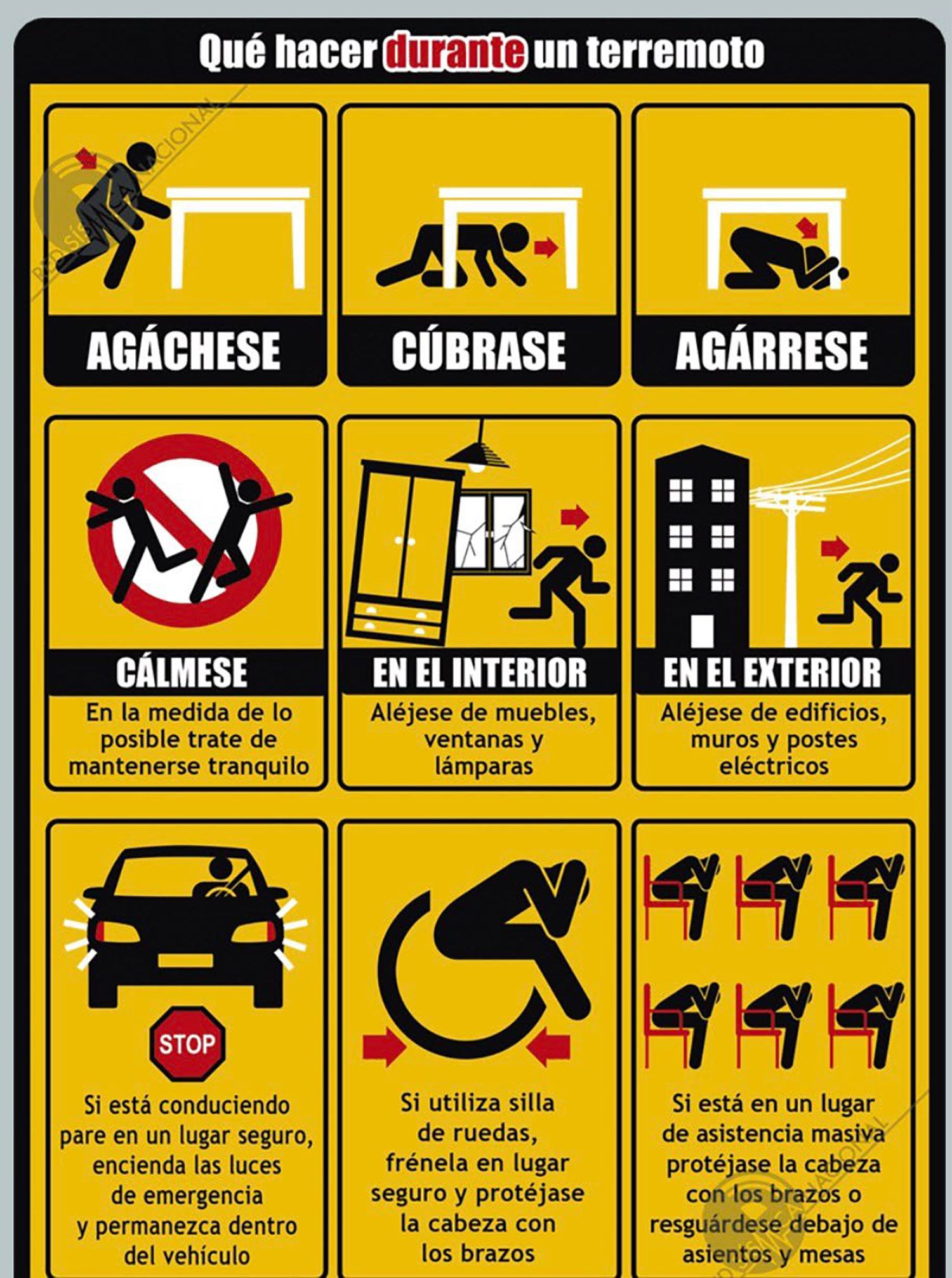 Qué hacer durante un terremoto Qué hacer durante un terremoto