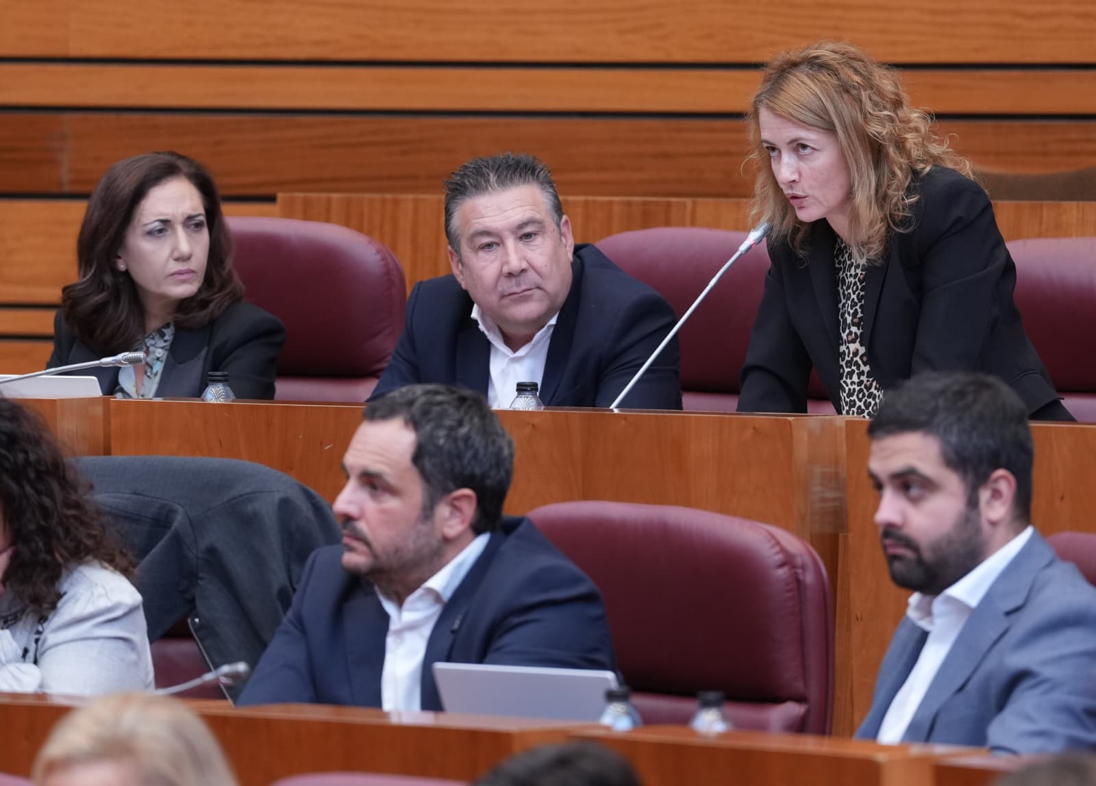 La procuradora de UPL en las CCyL, Rosa Quintanilla 3 La procuradora de UPL en las CCyL, Rosa Quintanilla 3