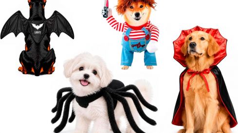 Disfraces para perros en Halloween Disfraces para perros en Halloween