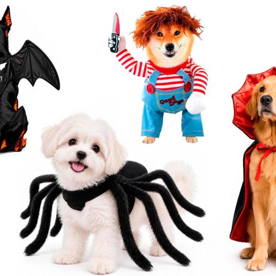 Disfraces para perros en Halloween Disfraces para perros en Halloween