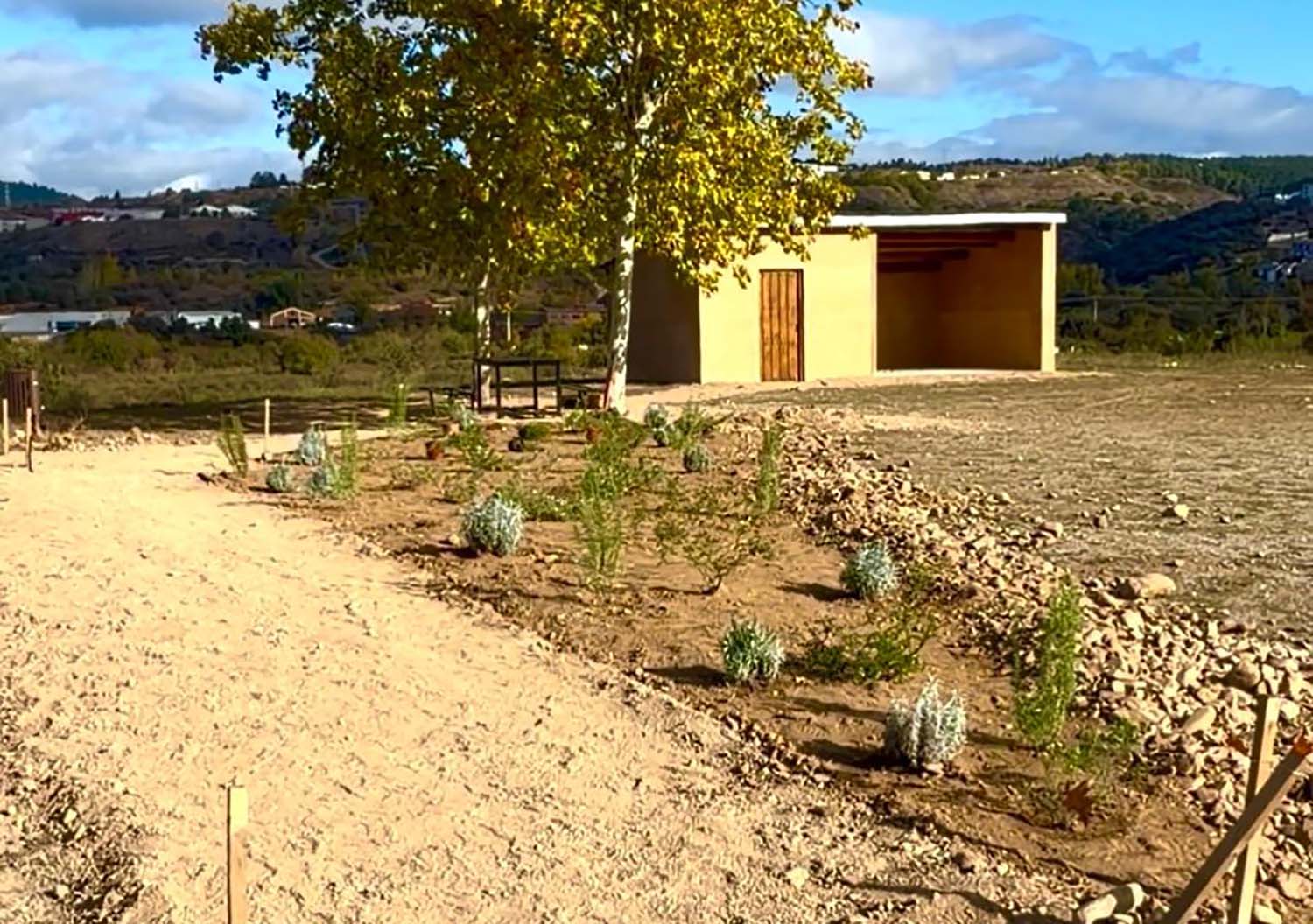 Actos vandálicos Campo