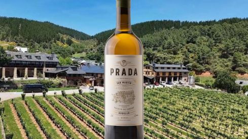 Un godello del Bierzo se corona como el mejor de España en la guía de vinos 2026 Un godello del Bierzo se corona como el mejor de España en la guía de vinos 2026