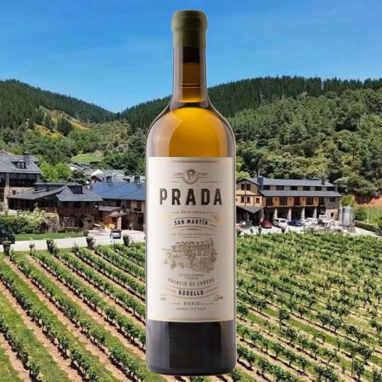 Un godello del Bierzo se corona como el mejor de España en la guía de vinos 2026