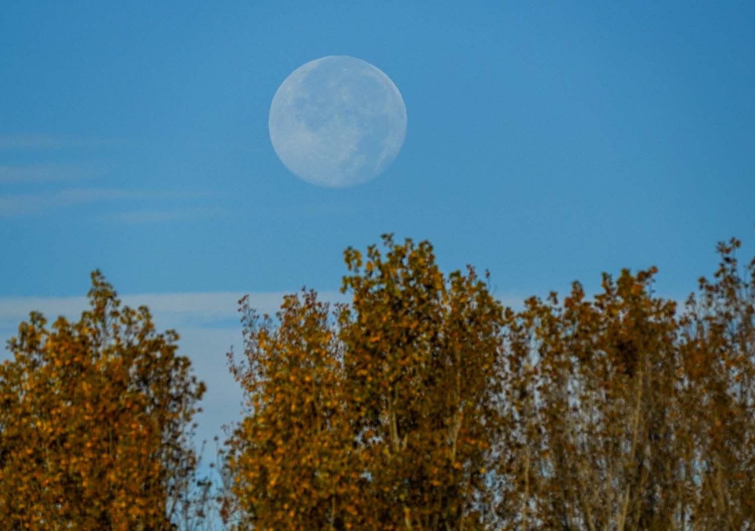 César Sánchez ICAL Luna llena al amanecer en El Bierzo (1) César Sánchez ICAL Luna llena al amanecer en El Bierzo (1)