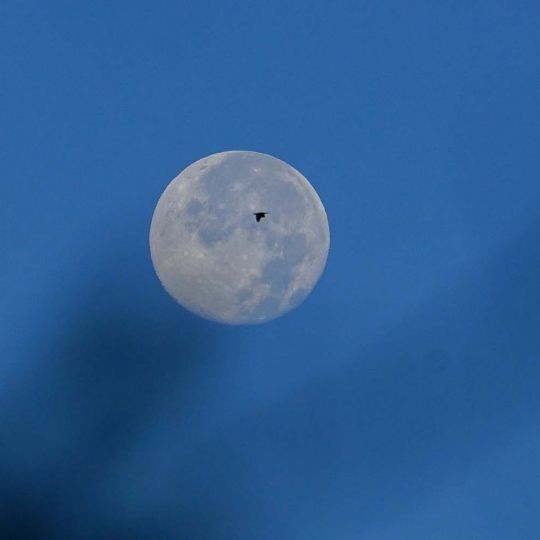 César Sánchez ICAL Luna llena al amanecer en El Bierzo (2)