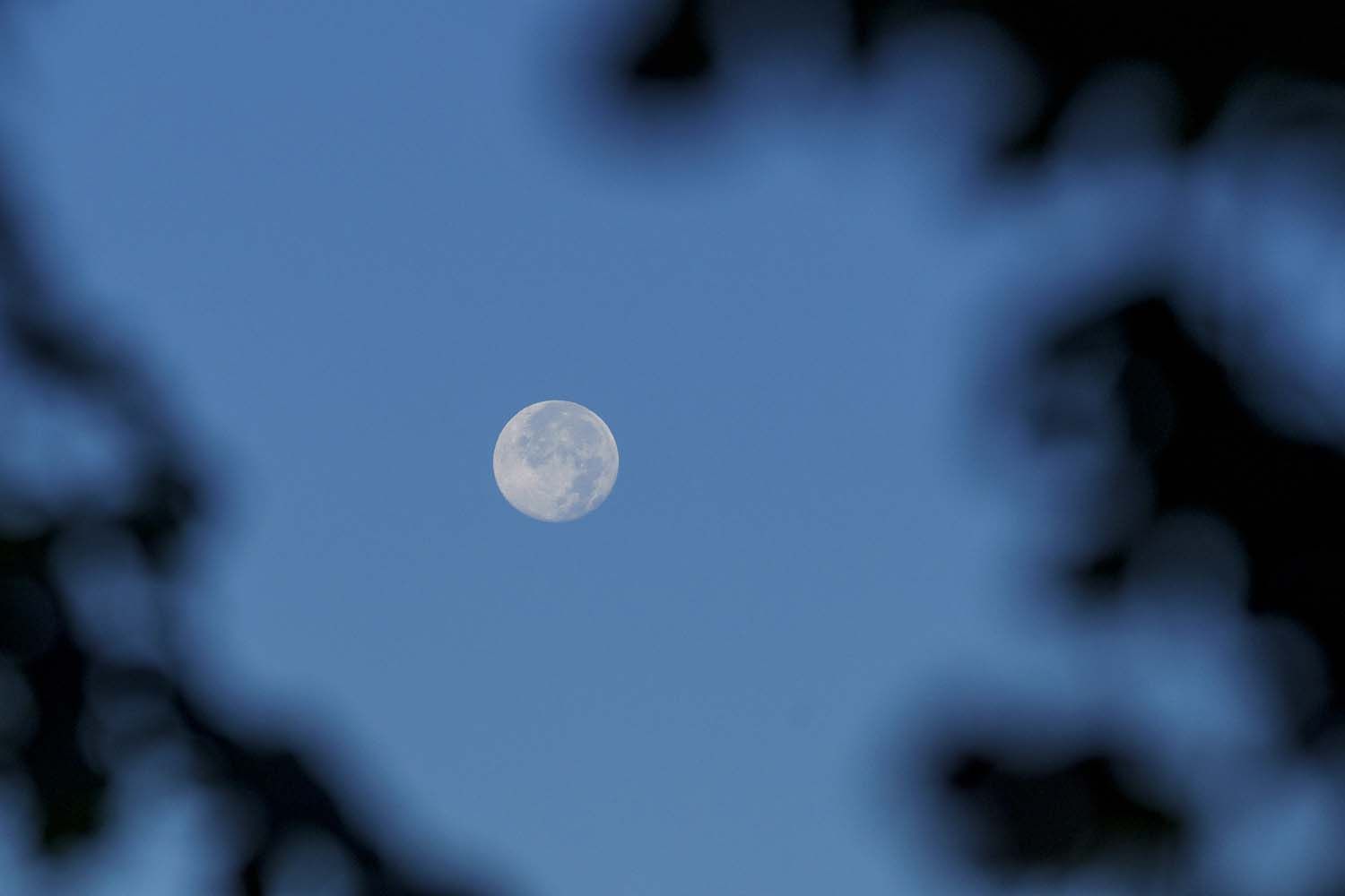 César Sánchez ICAL Luna llena al amanecer en El Bierzo (4) César Sánchez ICAL Luna llena al amanecer en El Bierzo (4)