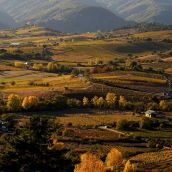 Otoño en El Bierzo César Sánchez ICAL  (4)