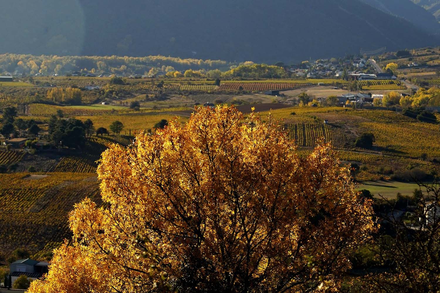 Otoño en El Bierzo César Sánchez ICAL(16) Otoño en El Bierzo César Sánchez ICAL(16)