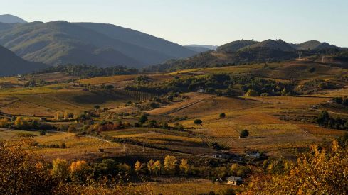 Otoño en El Bierzo César Sánchez ICAL (5) Otoño en El Bierzo César Sánchez ICAL (5)