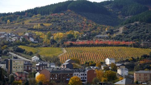 Otoño en El Bierzo César Sánchez ICAL (13) Otoño en El Bierzo César Sánchez ICAL (13)