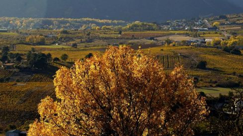 Otoño en El Bierzo César Sánchez ICAL (16) Otoño en El Bierzo César Sánchez ICAL (16)