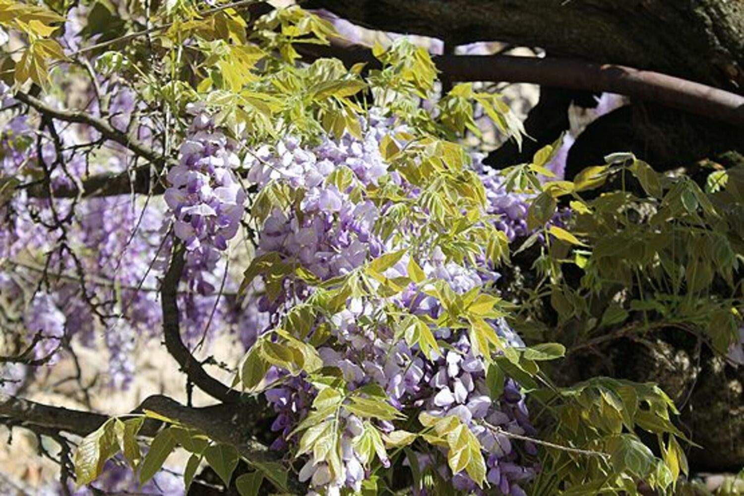 20140414_023