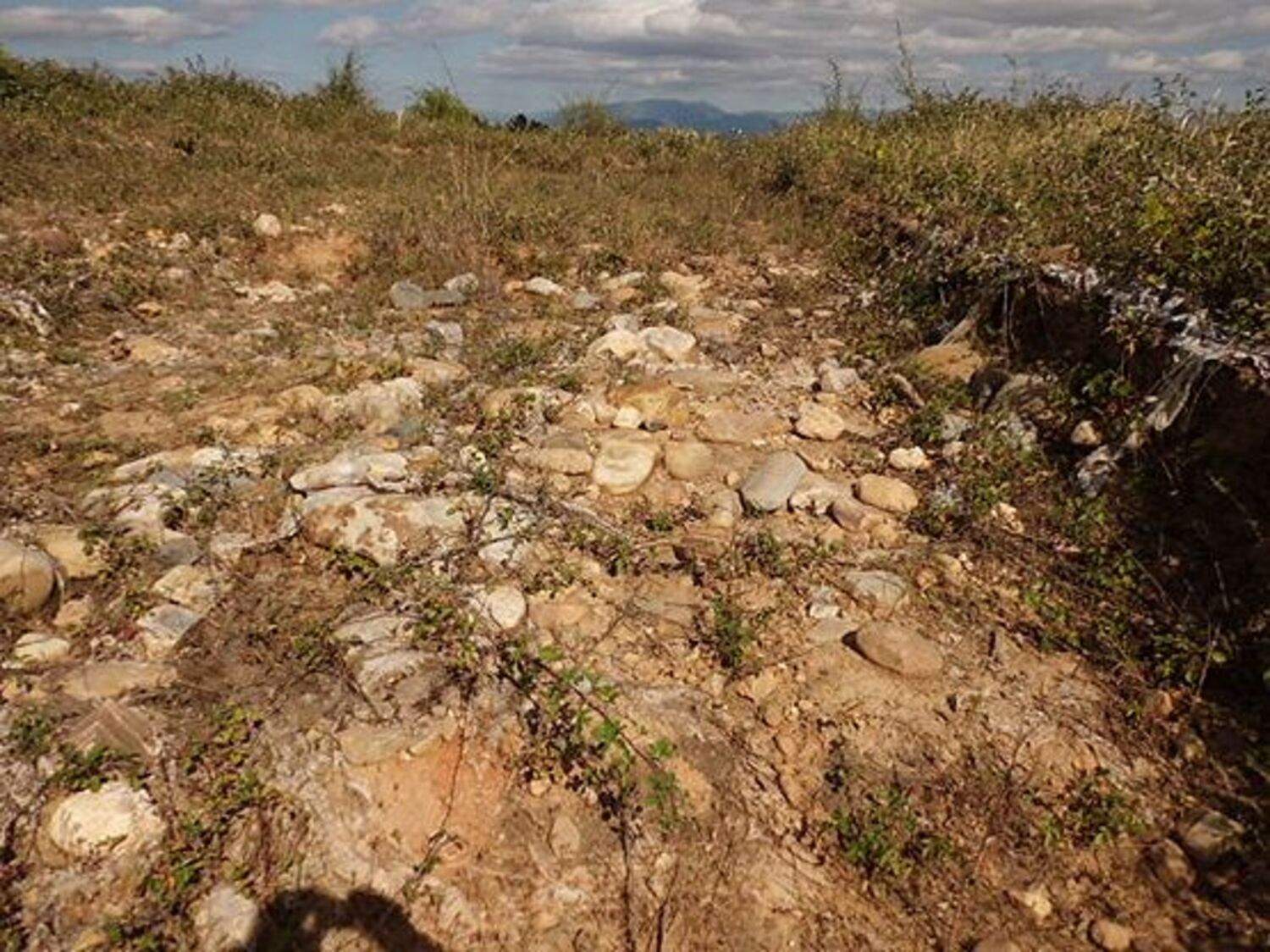 Estado interior del castro donde se realizaron excavaciones hace una década