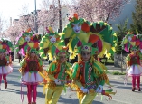 Carnaval-Cubillos-del-Sil-2020-102