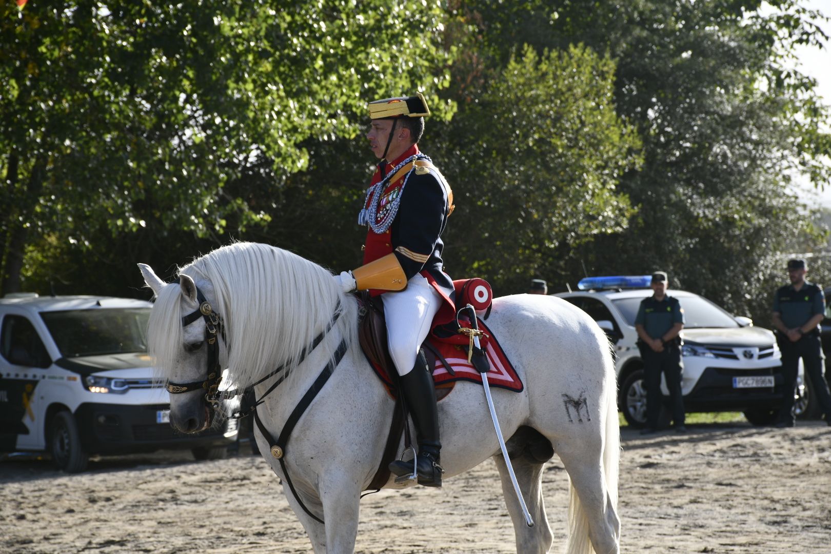 caballos-guardia-civil-camponaraya-5