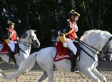 caballos-guardia-civil-camponaraya-17