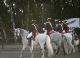 caballos-guardia-civil-camponaraya-18