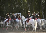 caballos-guardia-civil-camponaraya-19