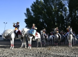 caballos-guardia-civil-camponaraya-53