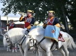 caballos-guardia-civil-camponaraya-63
