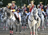 caballos-guardia-civil-camponaraya-65